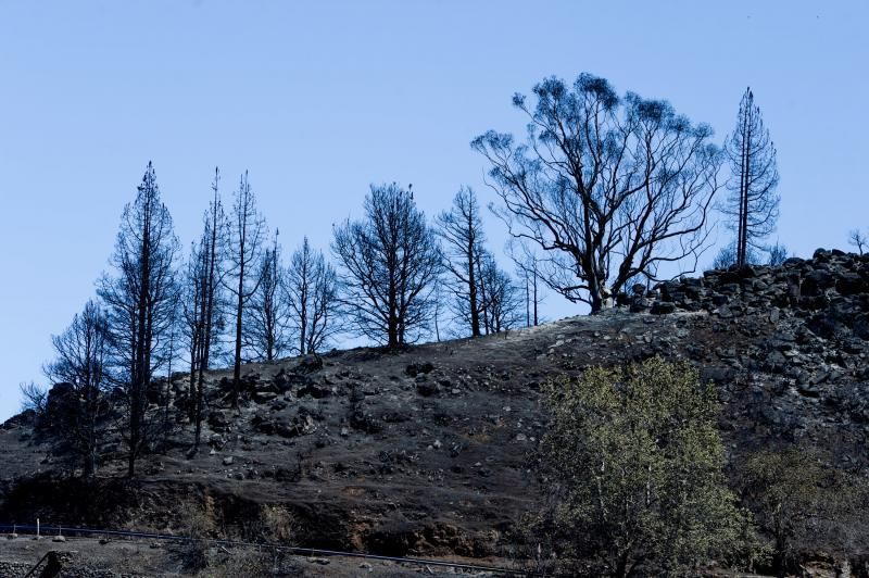 Consecuencias del incendio: De Valleseco a Artenar