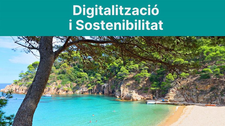 Test d’estiu: Saps com pots ser més sostenible?