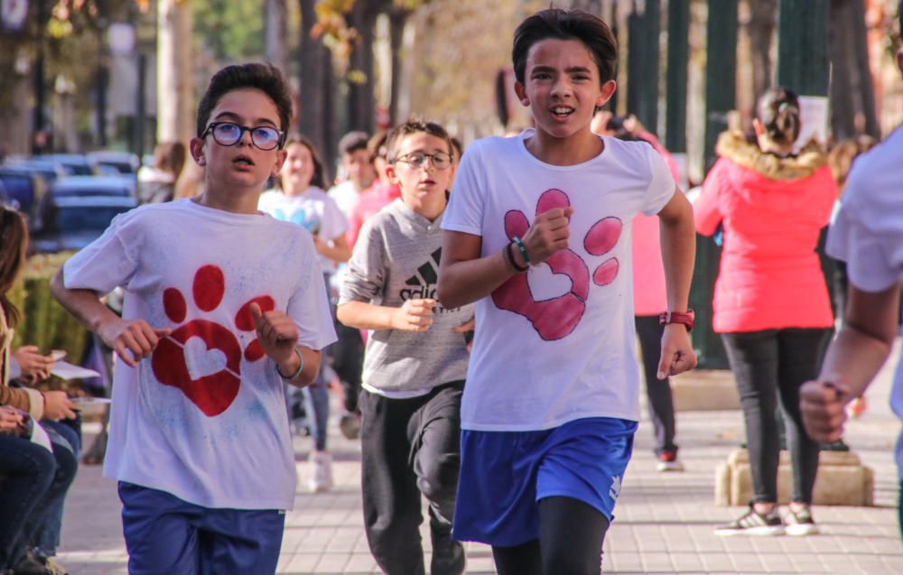 Carrera solidaria de Cotes Baixes en Alcoy