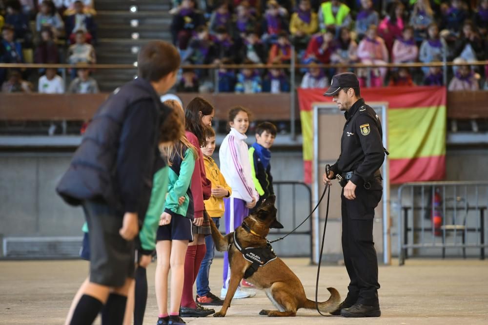 Exhibición de unidades especiales de la PN