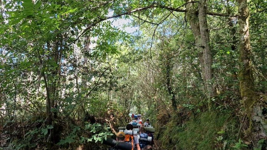 La ruta de peregrinación a Santiago que se mantuvo &quot;oculta&quot; durante siglos: 130 kilómetros de naturaleza e historia desde Salvaterra