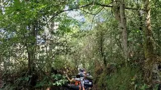 La ruta de peregrinación a Santiago que se mantuvo "oculta" durante siglos: 130 kilómetros de naturaleza e historia desde Salvaterra