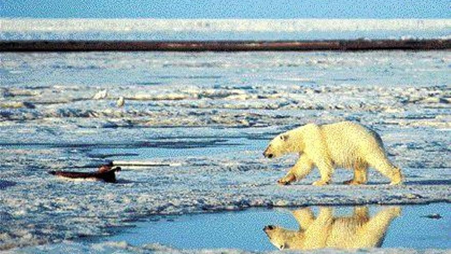 El Océano Glacial Ártico acelera su deshielo debido al calientamiento global. / efe