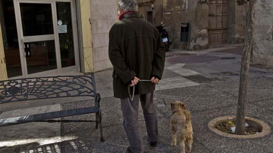 Crevillent se hará cargo de tomar la muestra de ADN de los perros censados