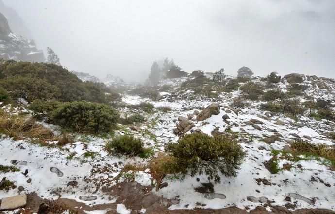 NIEVE CUMBRE GRAN CANARIA