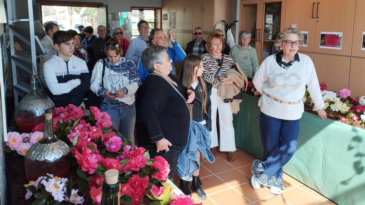 Asistentes ao acto inaugural da Mostra da Camelia, na Pobra.