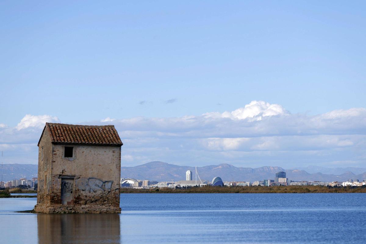 Panorámica de la marjal de l'Albufera