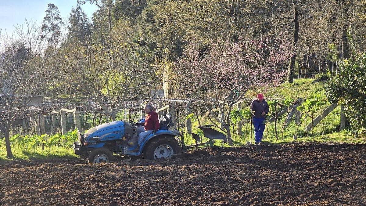 Un tractor, en una finca.