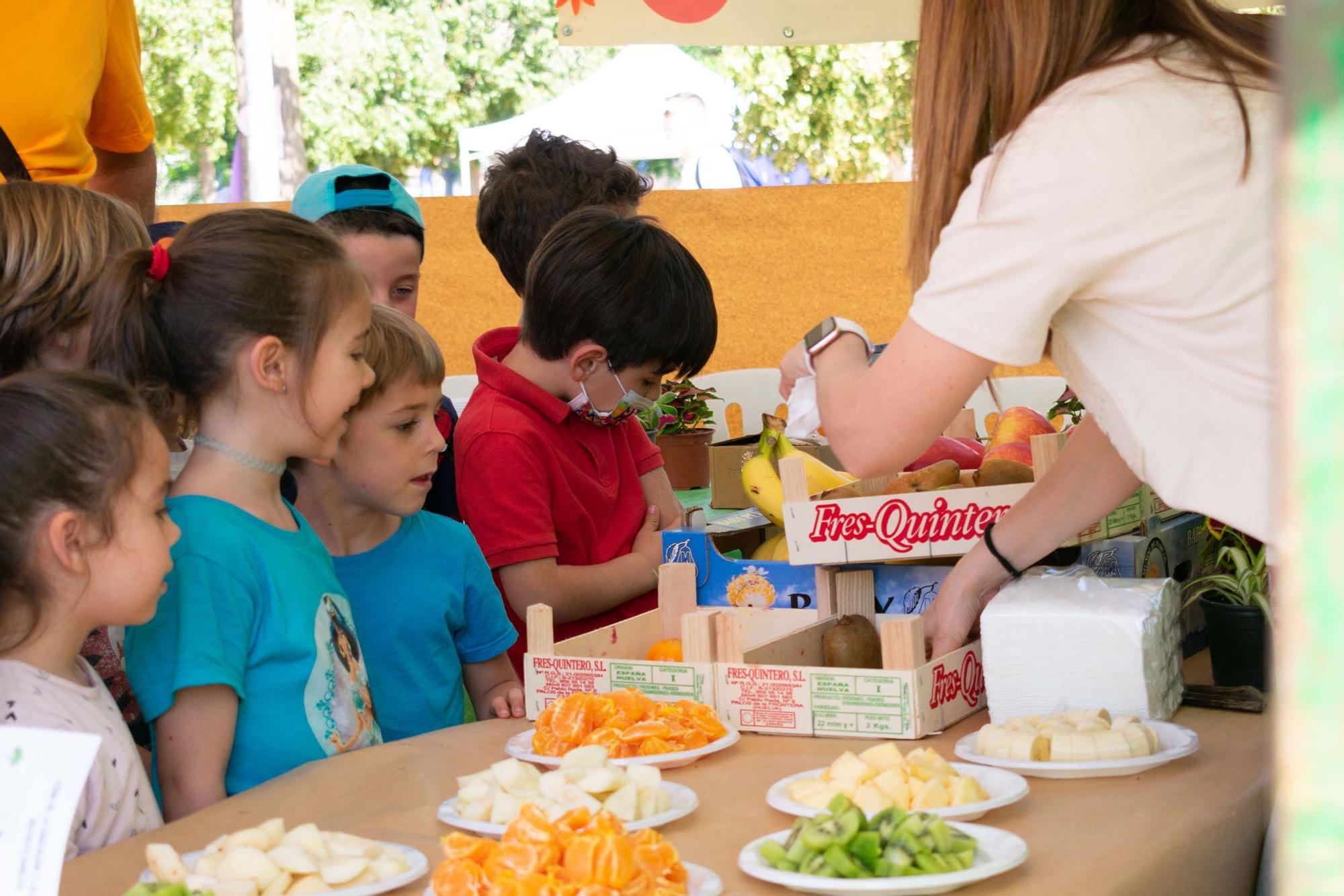 Primera Feria de la Educación y la Vecindad