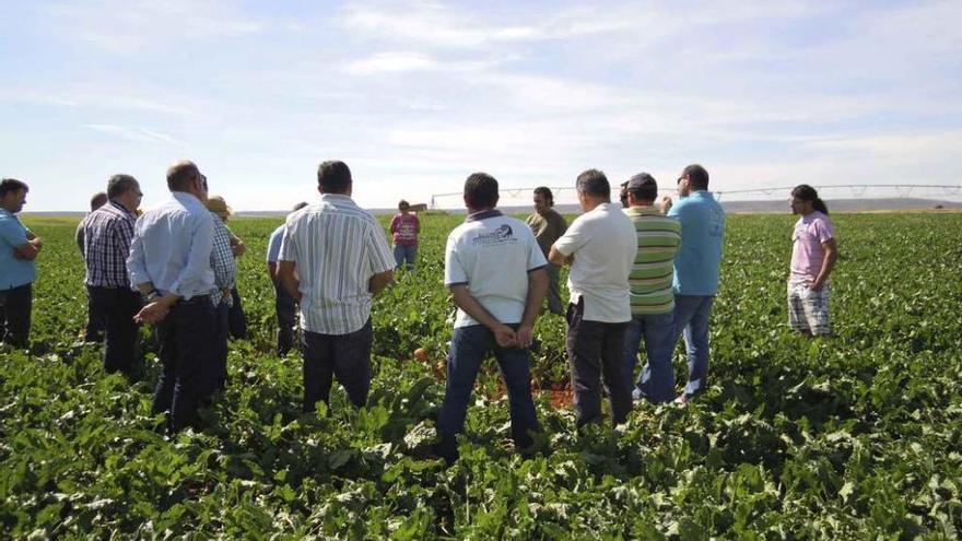 Remolacheros de la zona durante una reunión a pie de campo.