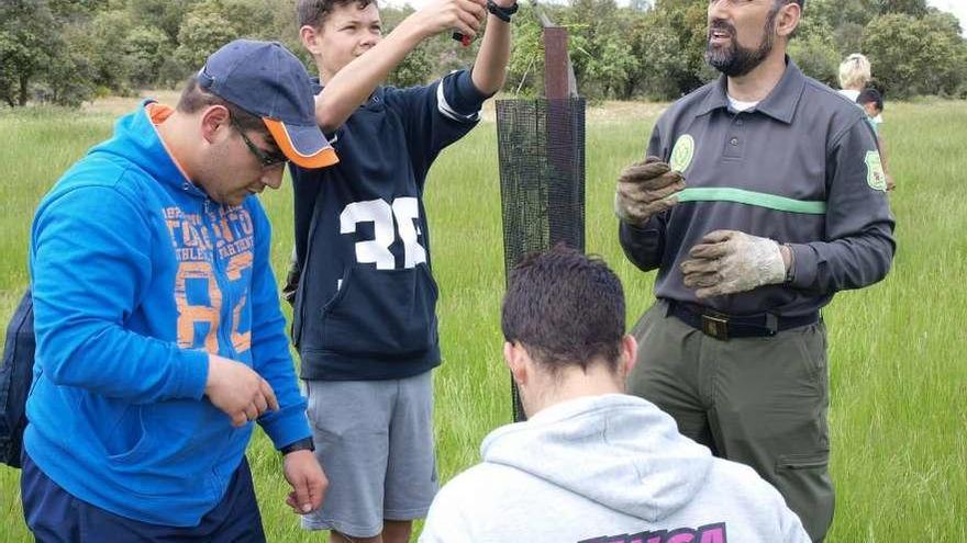 El agente medioambiental Lorenzo Ferrero con los alumnos cortando las ramas del fresno.