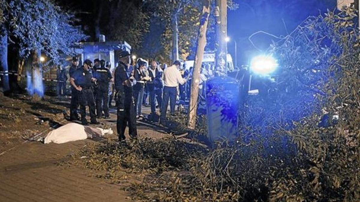 La rama de árbol cuya caída, el lunes por la noche, causó la muerte de un jubilado en el barrio madrileño de Santa Eugenia, en Vallecas.