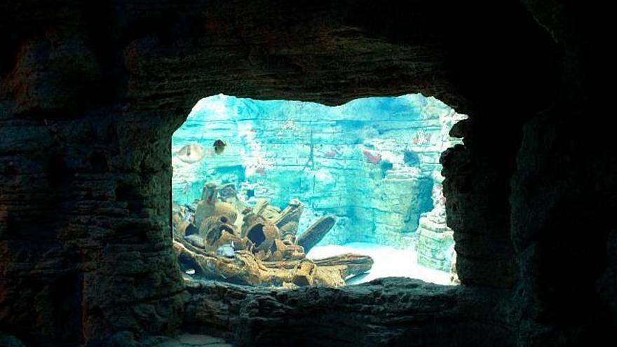 Zwei Interessenten für Aquarium in Colònia de Sant Jordi