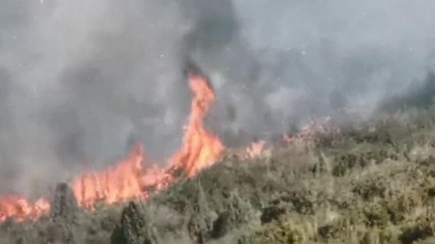 Vídeo: Importante despliegue para sofocar un incendio en Cabanes