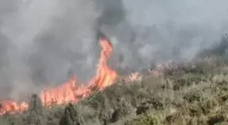 Vídeo y galería: 50 bomberos trabajarán por la noche en el incendio de Cabanes