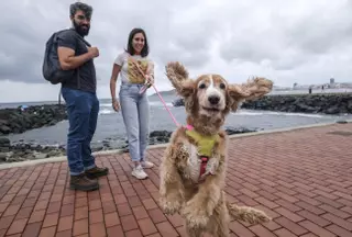 Más de 300 propuestas para Las Palmas de Gran Canaria: de una playa canina a un skatepark
