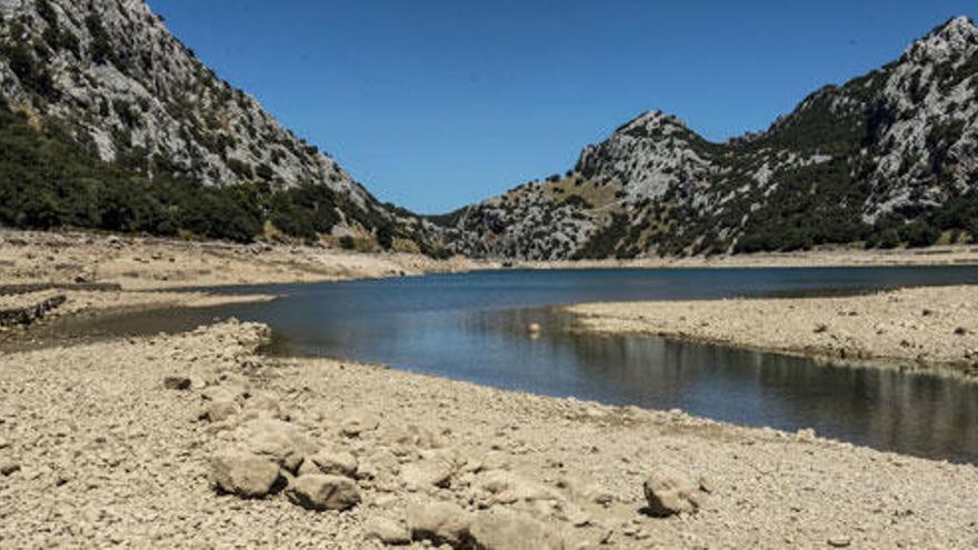 Alertan del &quot;muy probable&quot; riesgo de sequía al final del verano en Mallorca