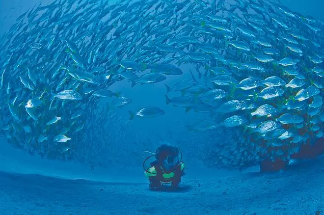 Gran Canaria: en la variedad está el gusto