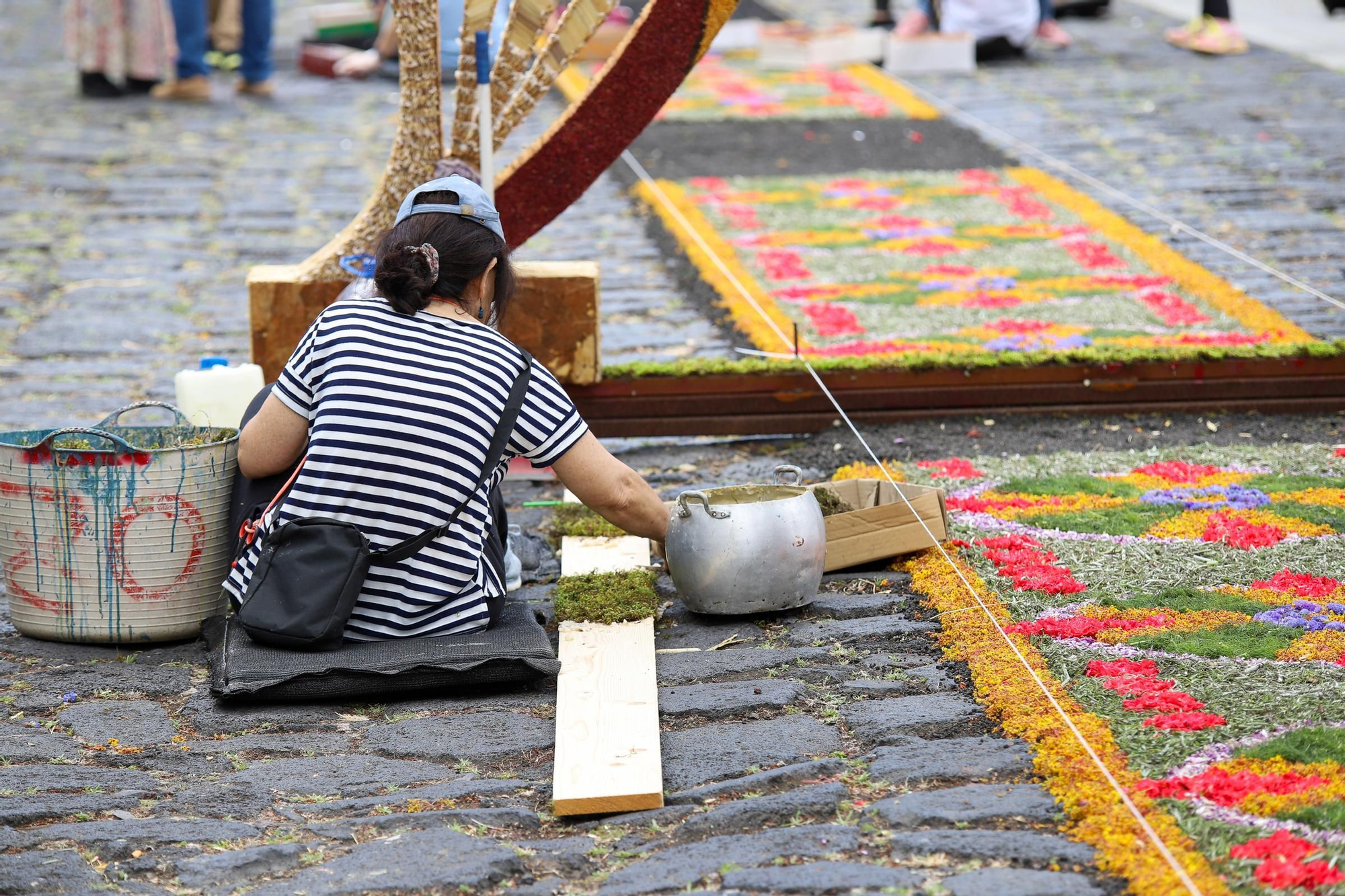 Villa de Mazo prepara las alfombras para la celebración del Corpus Christi