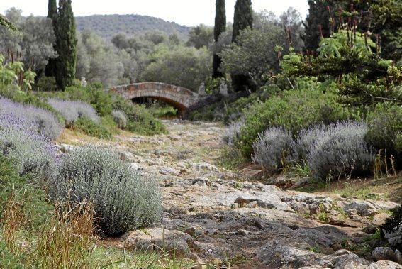 Der Garten von Gritli und Hans Liesenhoff zählt zu den beeindruckendsten Mallorcas. Er vereint Pfl anzenvielfalt und ornamentale Gestaltung mit Philosophie und Poesie.