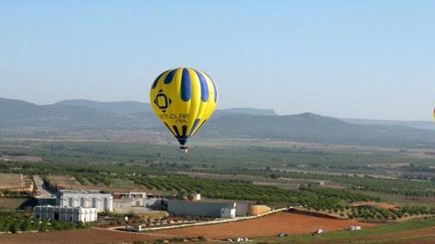 Vicente Gandia presenta la gama de vinos jóvenes de la añada 2016