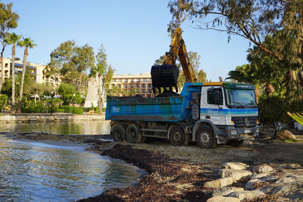 Santa Eulària realiza labores de limpieza en la desembocadura del río.