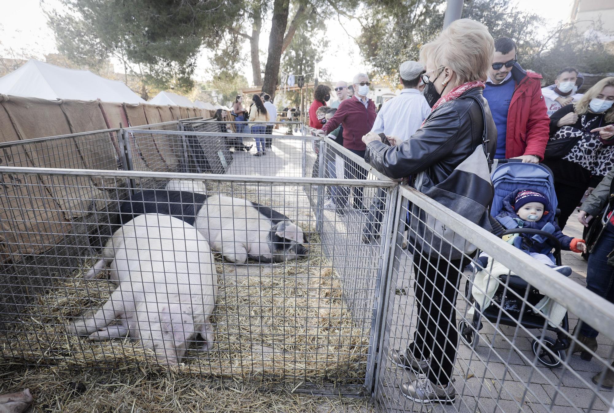 Sineu disfruta de la Feria de Sant Tomàs