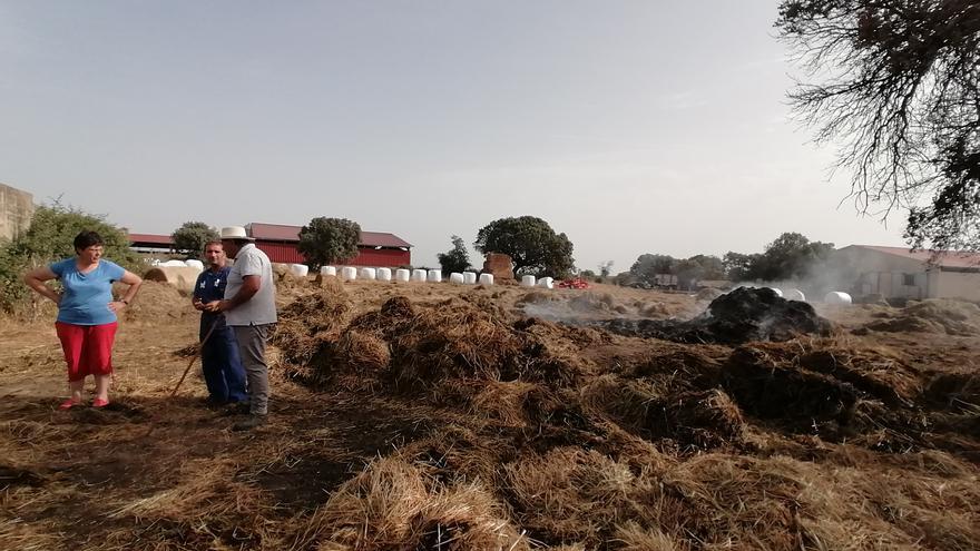 Denuncian malas prácticas de caza por el uso de bolas de alcanfor - La  Opinión de Zamora