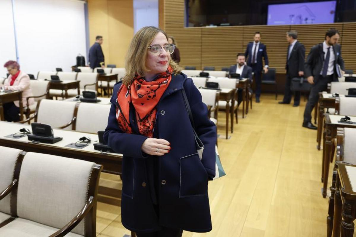 La secretaria de Estado de Comercio, este miércoles en el Congreso.