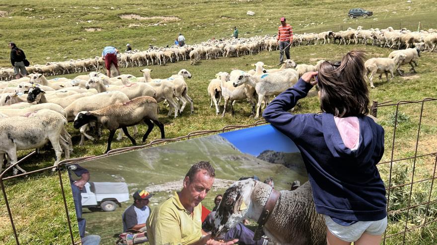 Una mostra fotogràfica i gastronòmica a 2.200 metres d&#039;altura homenatja els pastors amb ramats a la vall d&#039;Àssua