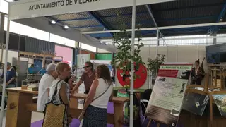 Villaviciosa, con stand propio por primera vez en la Feria de Muestras de Asturias en un año con especial protagonismo de la cultura sidrera
