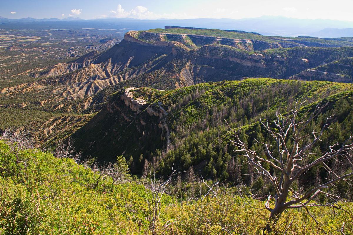 Mesa Verde