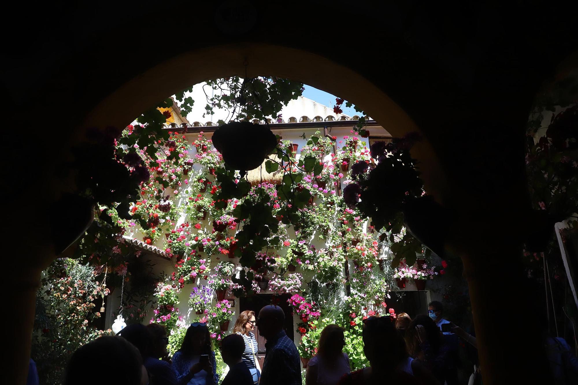 Largas colas en el primer sábado de patios