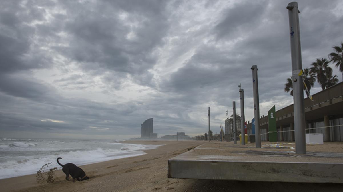 Des de Pineda i Malgrat de Mar fins a la Barceloneta, les platges arrasades pel temporal de mar.