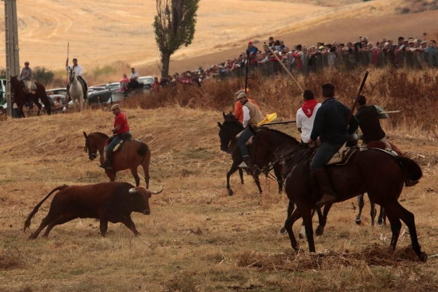 Encierro en San Miguel de la Ribera