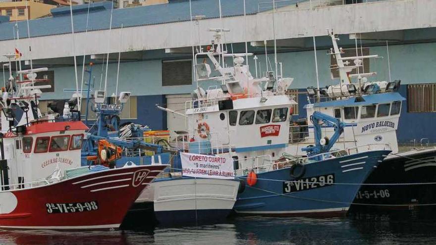 La flota de cerco viguesa amarrada en puerto el año pasado. // Jorge Santomé