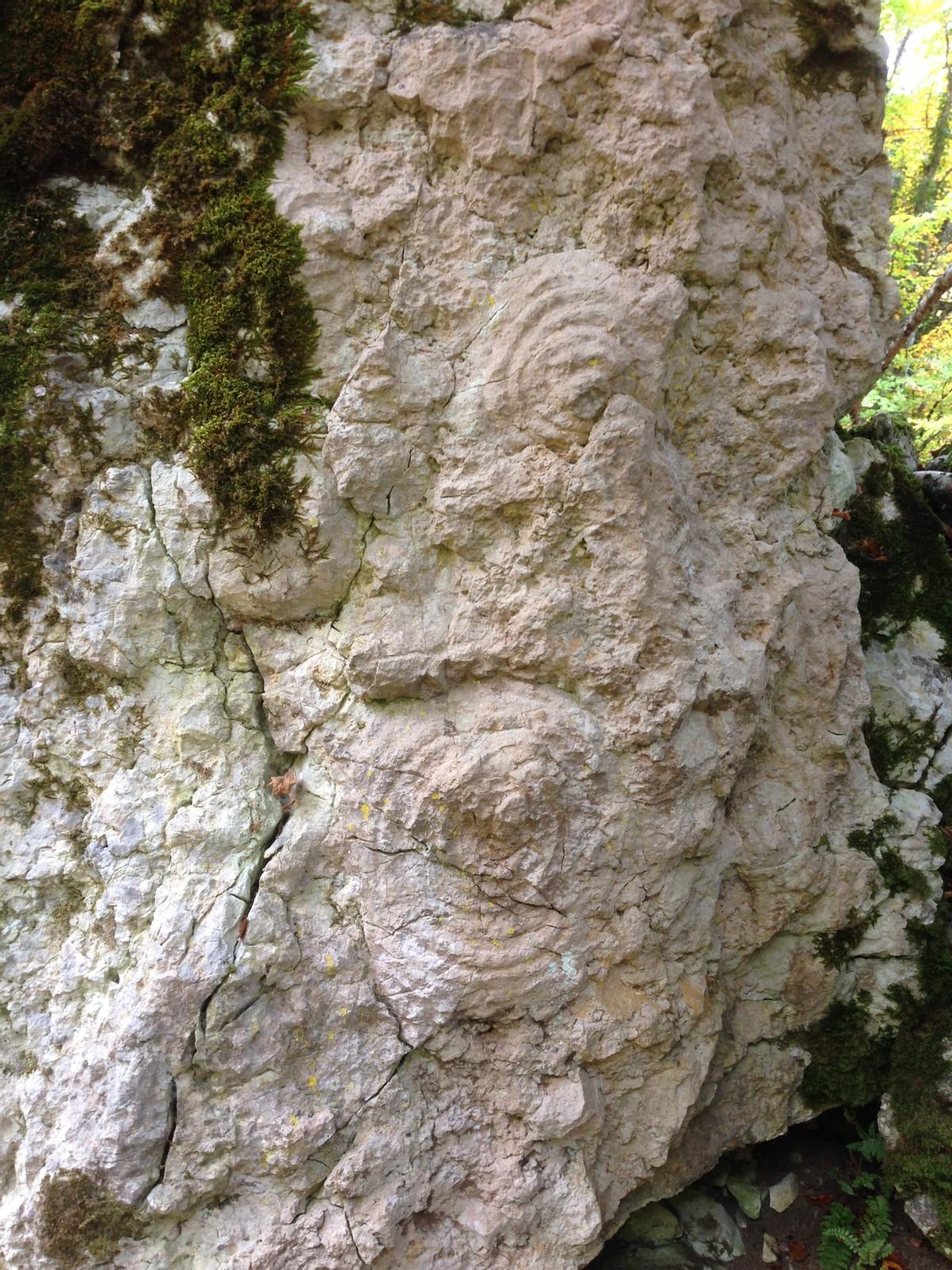 El peñón, con algunas de las estructuras del arrecife de coral.