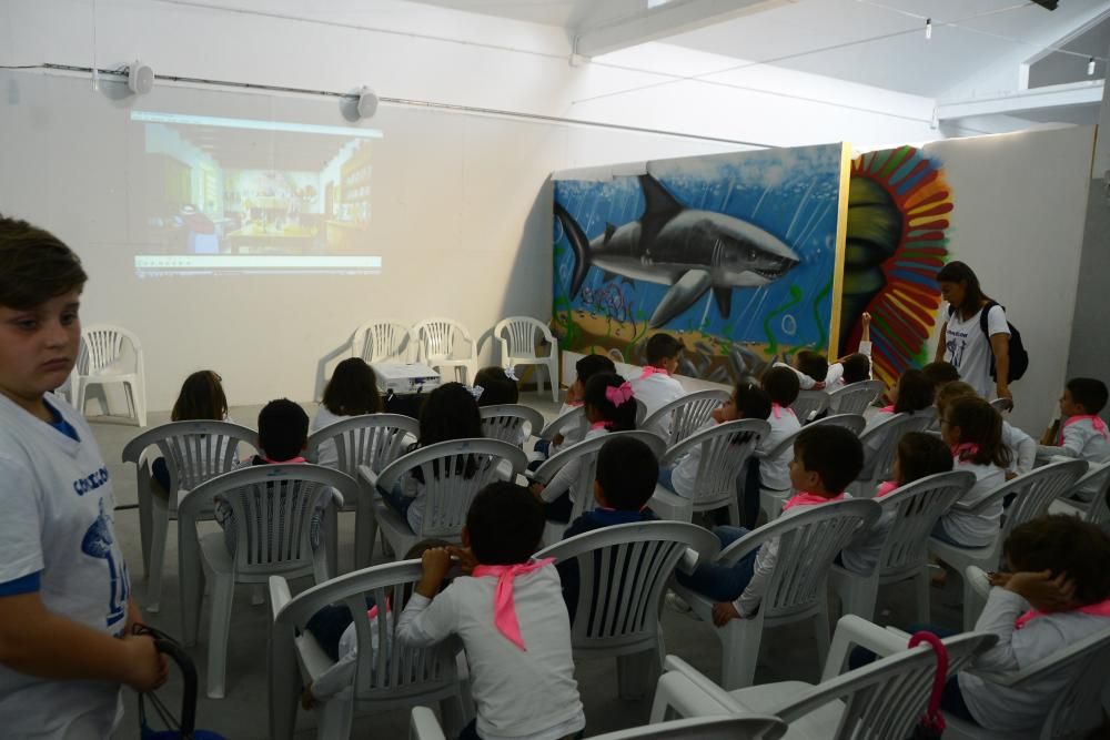 El Comic-Con despega en Moaña