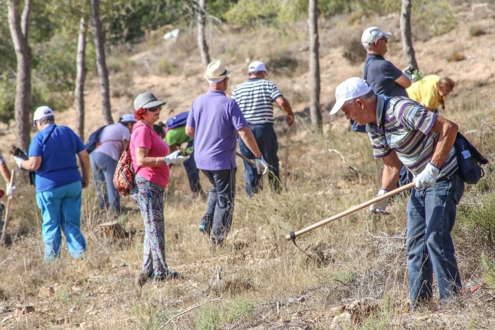 La Tercera Edad participa en la plantación de un centenar de árboles