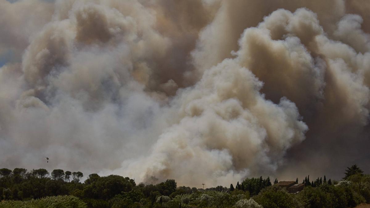 Crema sense control un incendi forestal a peu de les Gavarres a la Bisbal