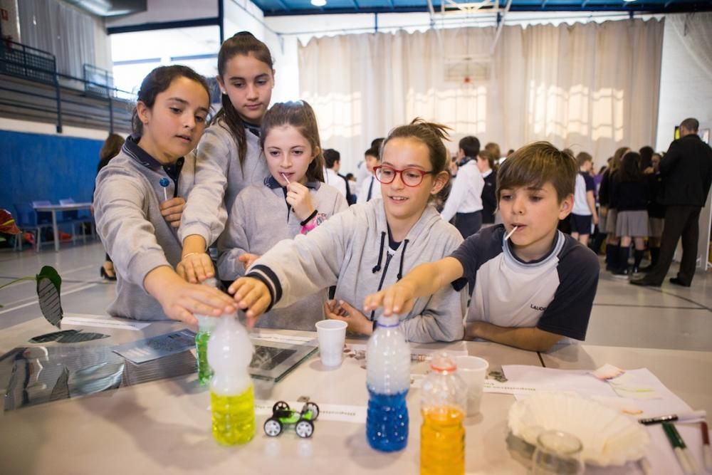 I Concurso de Ciencias del Newton College de Elche