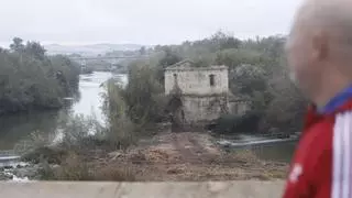 La limpieza de los Sotos de la Albolafia ya deja ver el molino de Enmedio