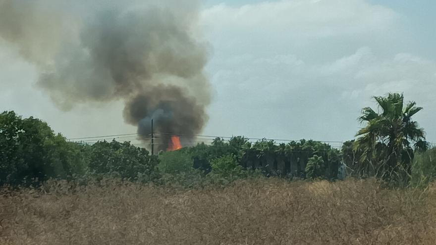 Espectacular incendio en un palmeral entre Benimuslem y Alberic
