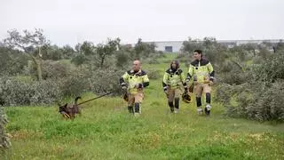Buscan a un hombre de 77 años desaparecido en Conquista del Guadiana