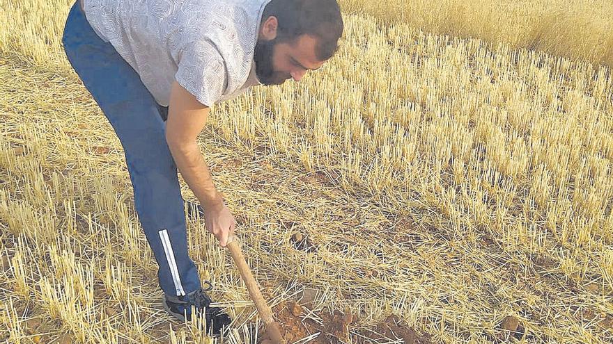 Joaquín Uranga, estudiante de ingeniería agroalimentaria y medio rural.