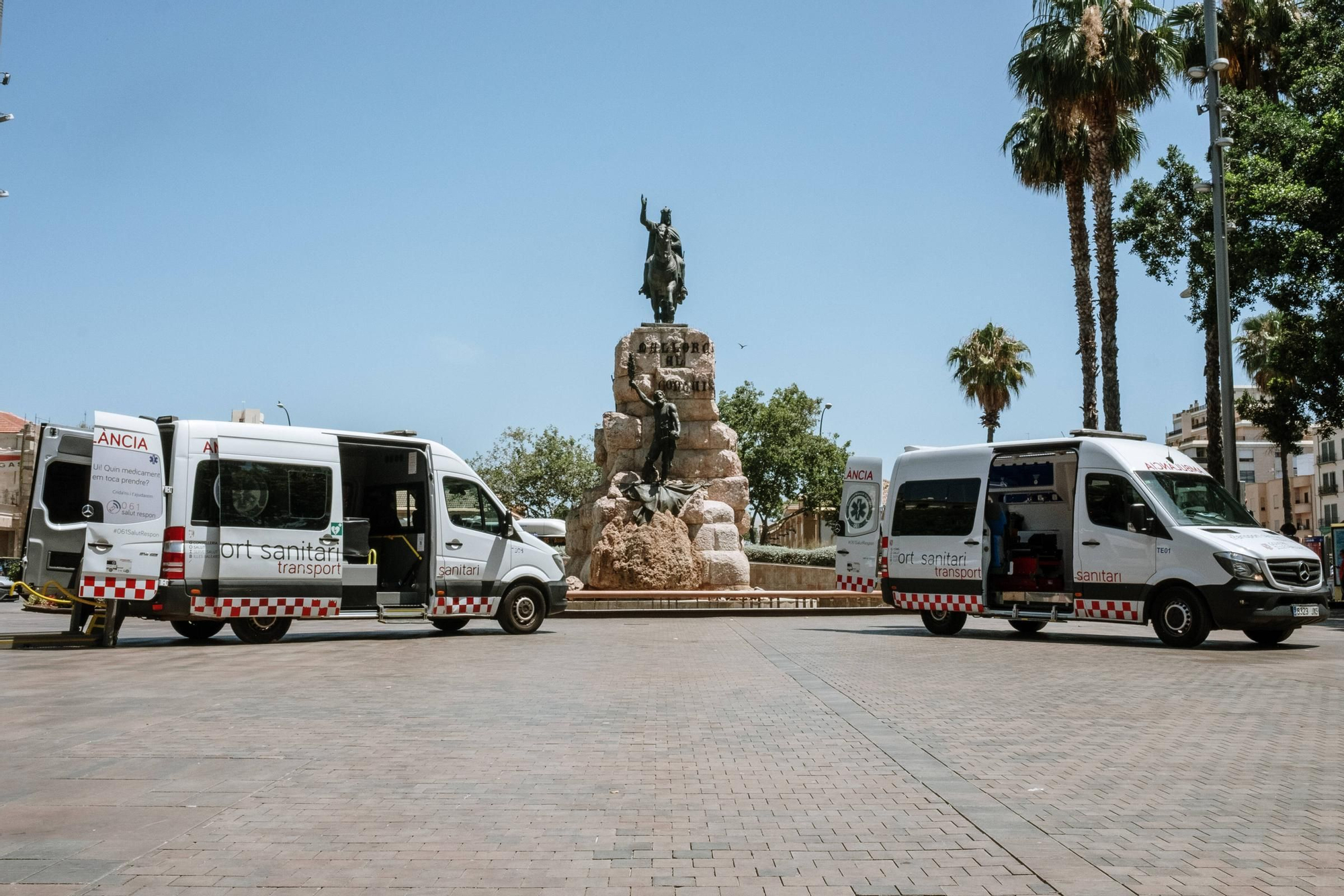 Los perros guía para pacientes con discapacidad ya pueden subir a las ambulancias en Baleares