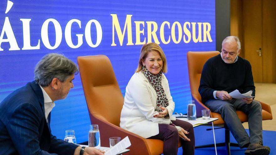 Mercosur: una oportunidad para que el mayor mercado mundial hable español