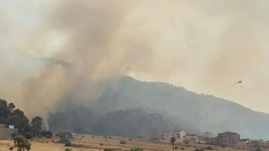 Medios aéreos para combatir un incendio forestal en Los Garres y Lages