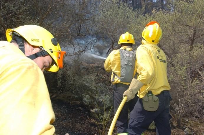 .INCENDIO. EN GRAN CANARIA