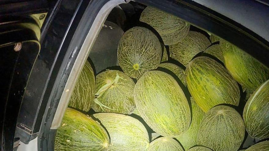 Melones en el asiento trasero del coche interceptado en Murcia.